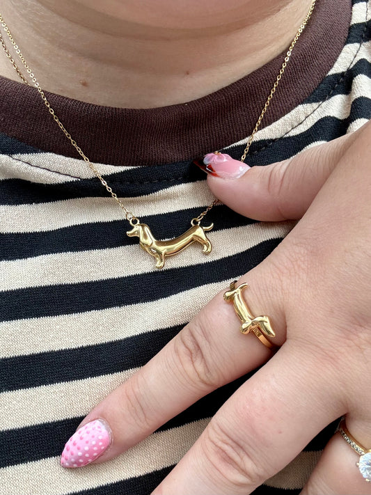 Dachshund Ketting