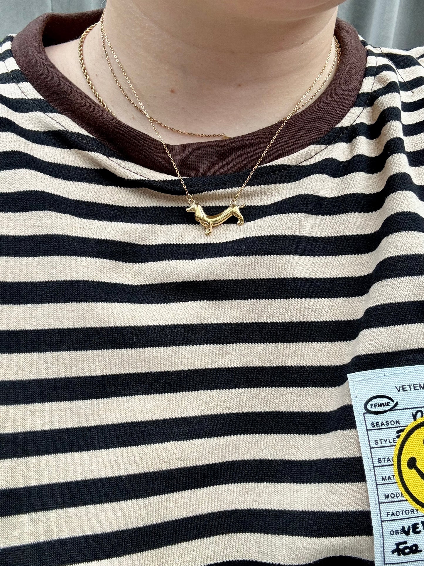 Dachshund Ketting