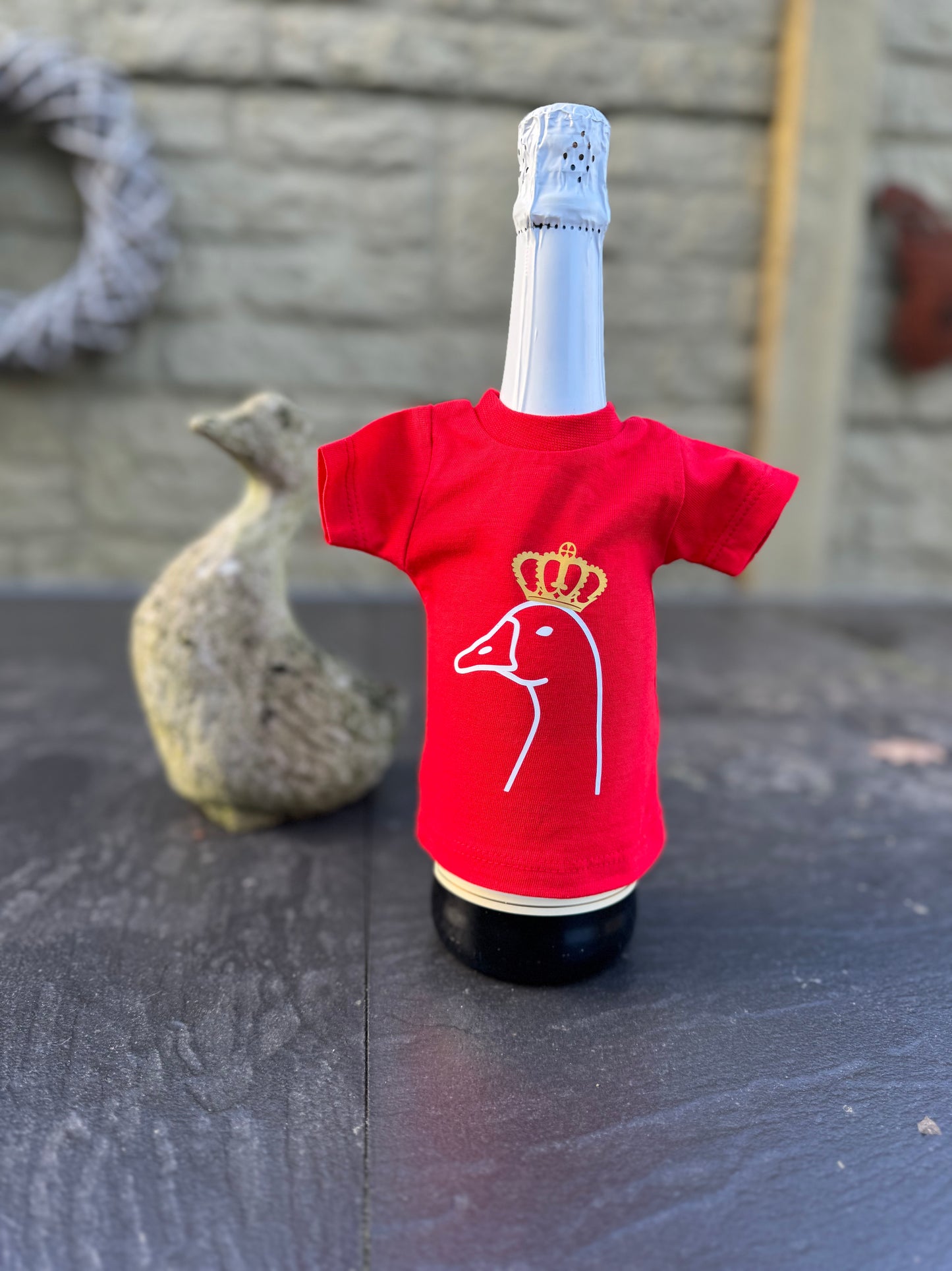 Mini t-Shirt ganzerijden