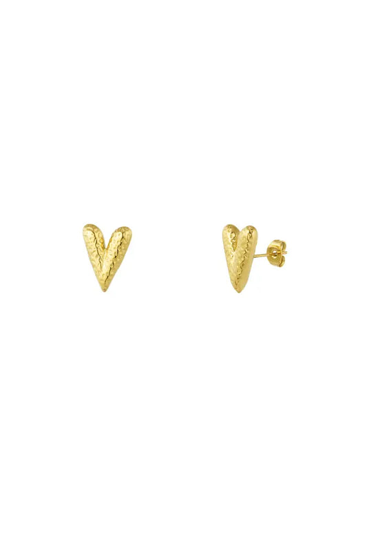 Oorbellen Heart Studs